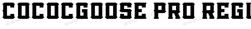 Cococgoose Pro Regul字体转换